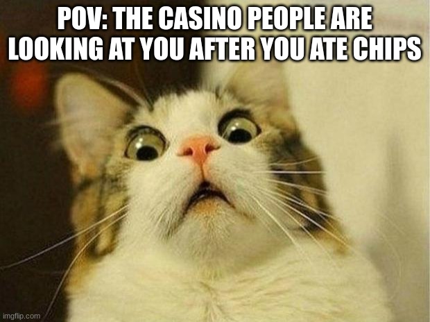 I was bored today. | POV: THE CASINO PEOPLE ARE LOOKING AT YOU AFTER YOU ATE CHIPS | image tagged in memes,scared cat | made w/ Imgflip meme maker