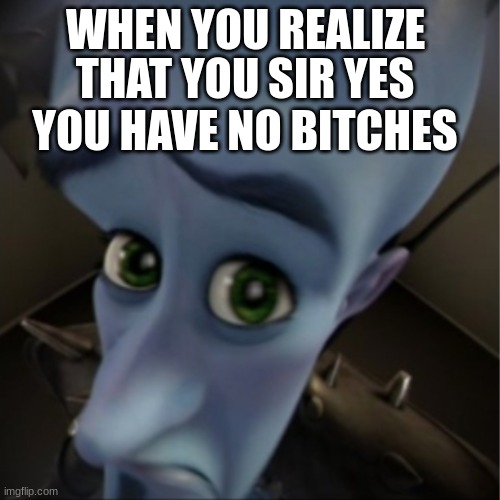 Megamind peeking | WHEN YOU REALIZE; THAT YOU SIR YES YOU HAVE NO BITCHES | image tagged in megamind peeking | made w/ Imgflip meme maker