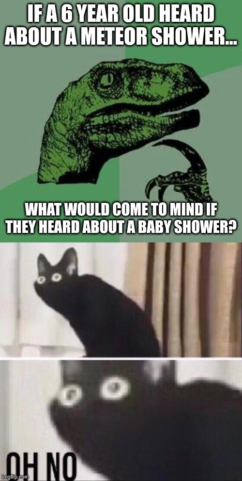 Do babies come from the sky mom? | IF A 6 YEAR OLD HEARD ABOUT A METEOR SHOWER... WHAT WOULD COME TO MIND IF THEY HEARD ABOUT A BABY SHOWER? | image tagged in raptor asking questions,oh no cat | made w/ Imgflip meme maker