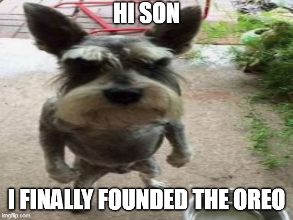 HI SON I FINALLY FOUNDED THE OREO | made w/ Imgflip meme maker