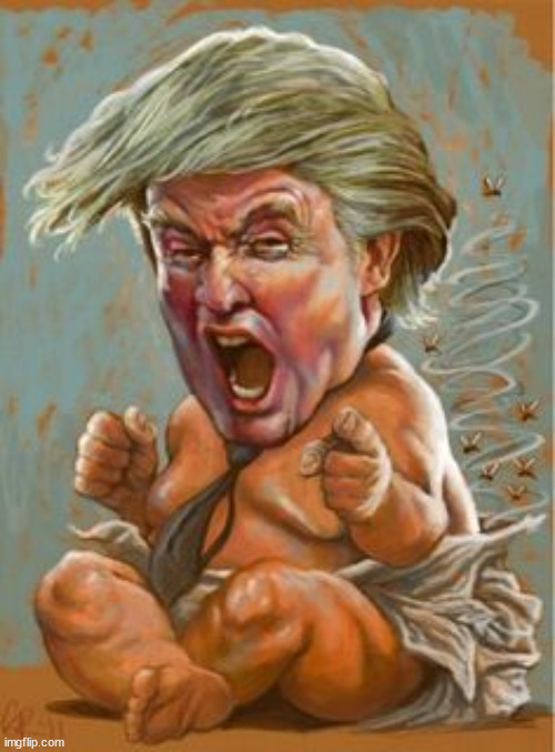 Trump-crybaby | image tagged in trump-crybaby | made w/ Imgflip meme maker