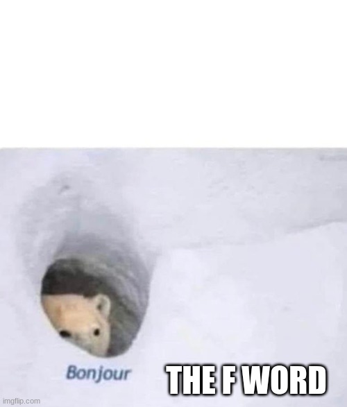 Bonjour | THE F WORD | image tagged in bonjour | made w/ Imgflip meme maker