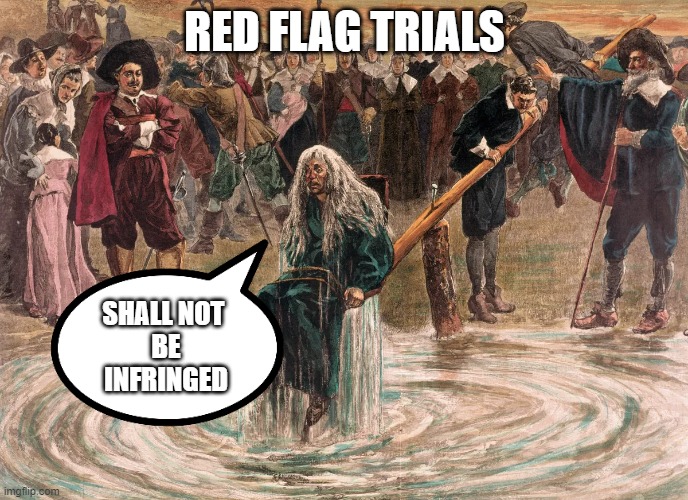 Salem Red Flag Trial | RED FLAG TRIALS; SHALL NOT 
BE
INFRINGED | image tagged in political meme,2a,2nd amendment,witch,salem,tyranny | made w/ Imgflip meme maker