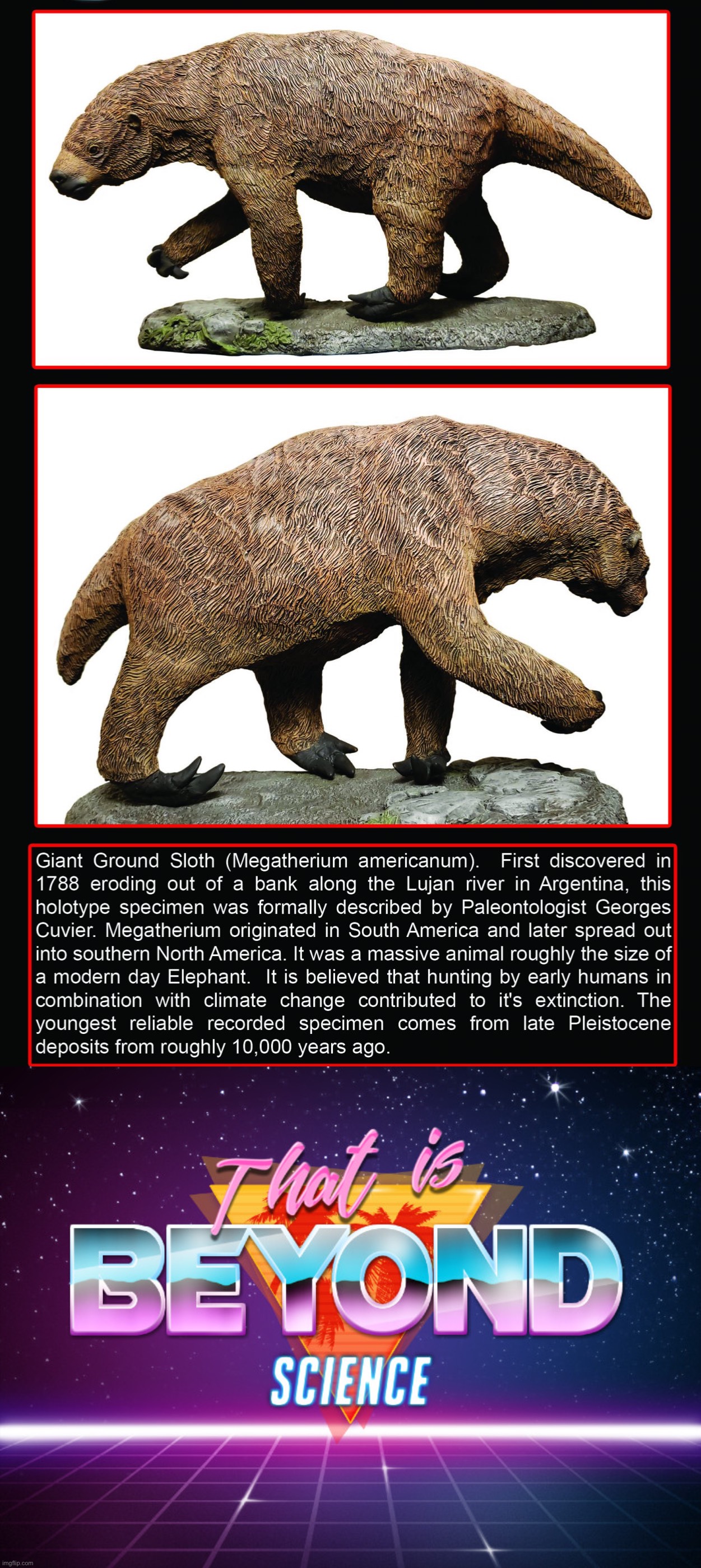 image tagged in giant ground sloth,that is beyond science | made w/ Imgflip meme maker