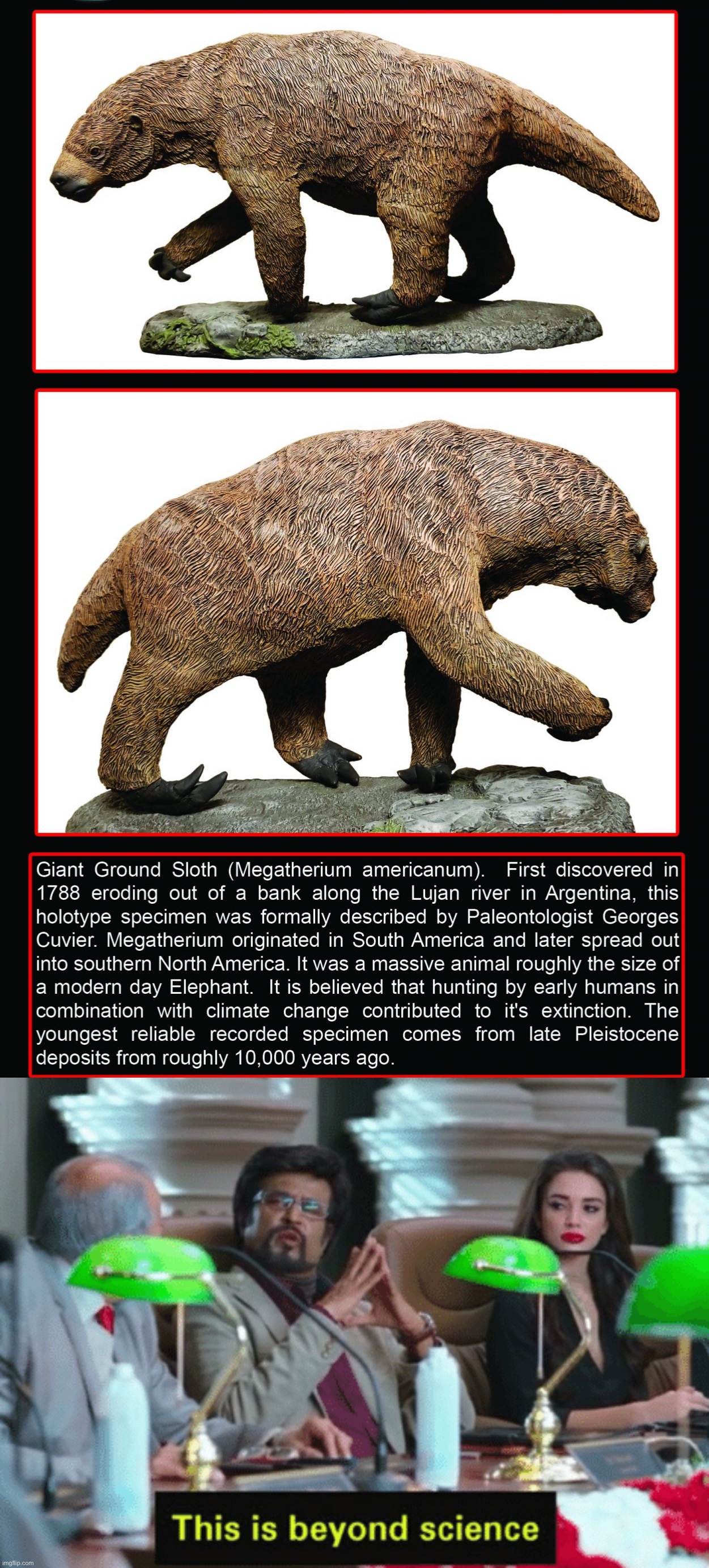 image tagged in giant ground sloth,this is beyond science | made w/ Imgflip meme maker