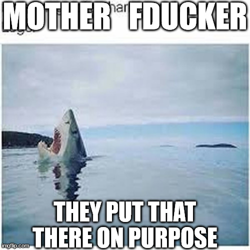 MOTHER   FDUCKER THEY PUT THAT THERE ON PURPOSE | made w/ Imgflip meme maker