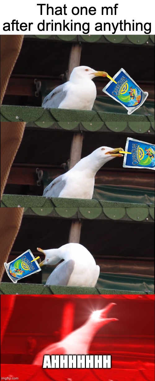 If you know, you know | That one mf after drinking anything; AHHHHHHH | image tagged in memes,inhaling seagull,funny | made w/ Imgflip meme maker