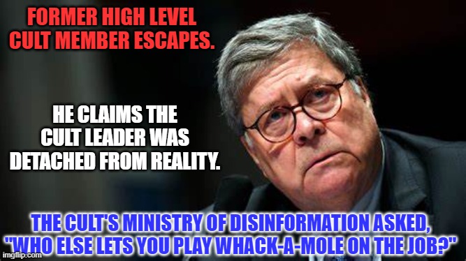 Perception is not always reality. | FORMER HIGH LEVEL CULT MEMBER ESCAPES. HE CLAIMS THE CULT LEADER WAS DETACHED FROM REALITY. THE CULT'S MINISTRY OF DISINFORMATION ASKED, "WHO ELSE LETS YOU PLAY WHACK-A-MOLE ON THE JOB?" | image tagged in politics | made w/ Imgflip meme maker