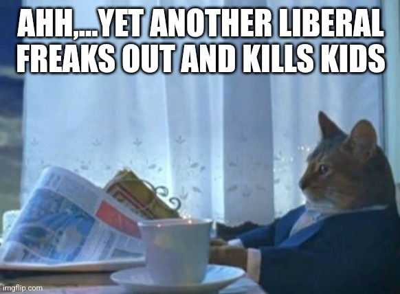 I Should Buy A Boat Cat Meme | AHH,...YET ANOTHER LIBERAL FREAKS OUT AND KILLS KIDS | image tagged in memes,i should buy a boat cat | made w/ Imgflip meme maker