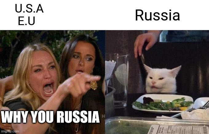 When inflation is in all time high | U.S.A
     E.U; Russia; WHY YOU RUSSIA | image tagged in memes,woman yelling at cat,economy,usa,russia,europe | made w/ Imgflip meme maker