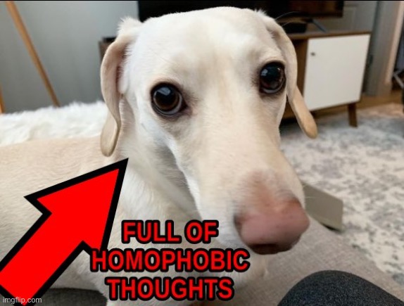 me as a dog fr | made w/ Imgflip meme maker