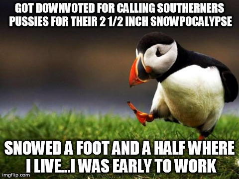 Unpopular Opinion Puffin Meme | GOT DOWNVOTED FOR CALLING SOUTHERNERS PUSSIES FOR THEIR 2 1/2 INCH SNOWPOCALYPSE SNOWED A FOOT AND A HALF WHERE I LIVE...I WAS EARLY TO WORK | image tagged in memes,unpopular opinion puffin,AdviceAnimals | made w/ Imgflip meme maker