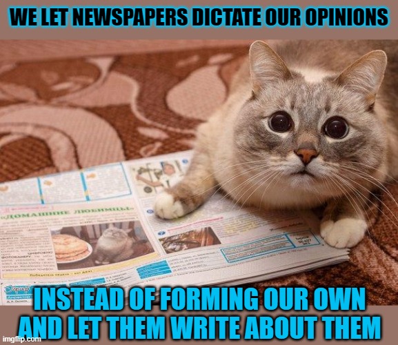 This #lolcat wonders why we let media dictate what we should think | WE LET NEWSPAPERS DICTATE OUR OPINIONS; INSTEAD OF FORMING OUR OWN
AND LET THEM WRITE ABOUT THEM | image tagged in media,lolcat,newspaper,opinions,think about it | made w/ Imgflip meme maker