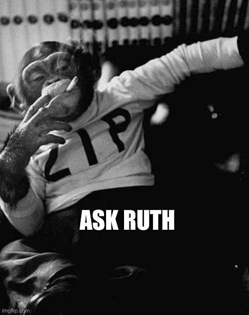 Zip the Smoking Chimp | ASK RUTH | image tagged in zip the smoking chimp | made w/ Imgflip meme maker