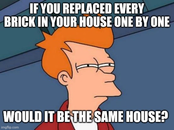 Hmmmmmm | IF YOU REPLACED EVERY BRICK IN YOUR HOUSE ONE BY ONE; WOULD IT BE THE SAME HOUSE? | image tagged in memes,futurama fry,paradox,house,bricks | made w/ Imgflip meme maker