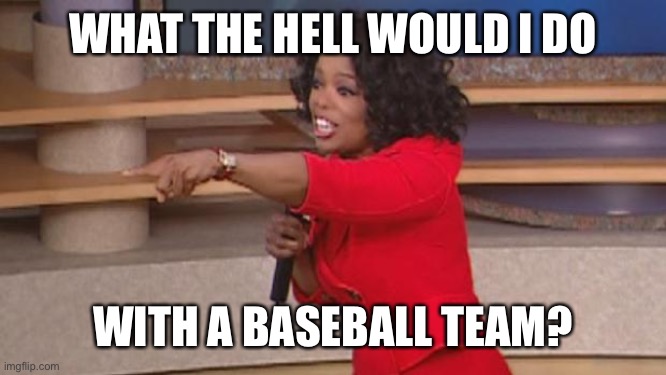 Oprah funny | WHAT THE HELL WOULD I DO; WITH A BASEBALL TEAM? | image tagged in oprah funny | made w/ Imgflip meme maker