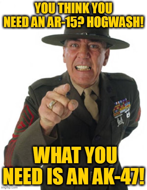 Guns Tells it Like it Is | YOU THINK YOU NEED AN AR-15? HOGWASH! WHAT YOU NEED IS AN AK-47! | image tagged in gunny r lee ermey | made w/ Imgflip meme maker