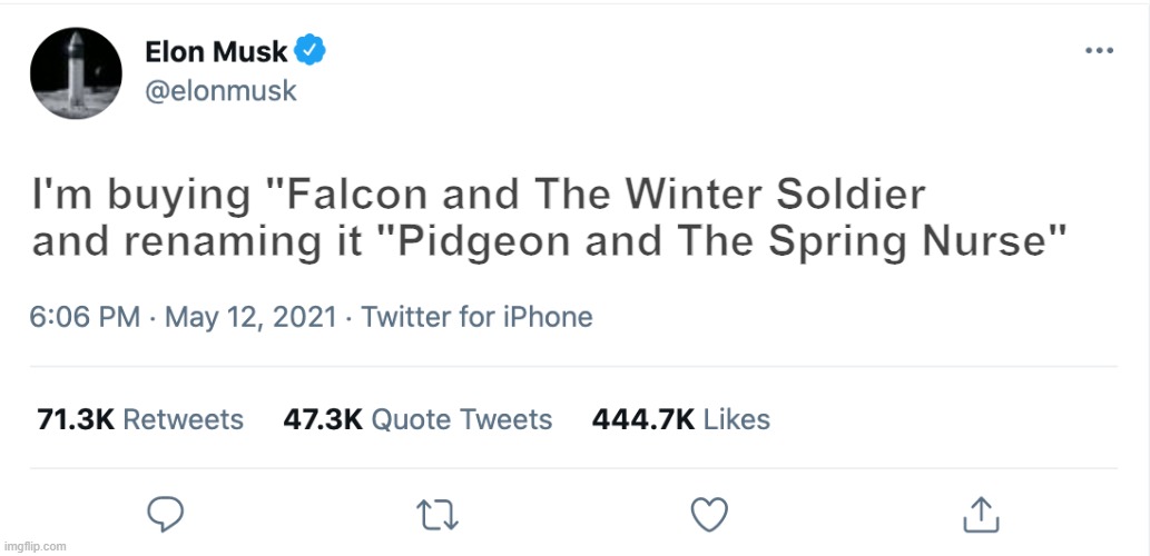 yes yes, this i must see! | I'm buying "Falcon and The Winter Soldier and renaming it "Pidgeon and The Spring Nurse" | image tagged in elon musk blank tweet | made w/ Imgflip meme maker