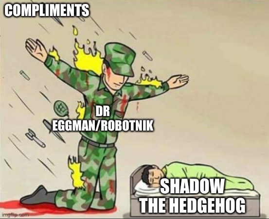 If you heard the meme, you know NOW HO AND ROAST SHADOW | COMPLIMENTS; DR EGGMAN/ROBOTNIK; SHADOW THE HEDGEHOG | image tagged in shadow the hedgehog,dr eggman,motherfucker,bitch,ass,piss | made w/ Imgflip meme maker
