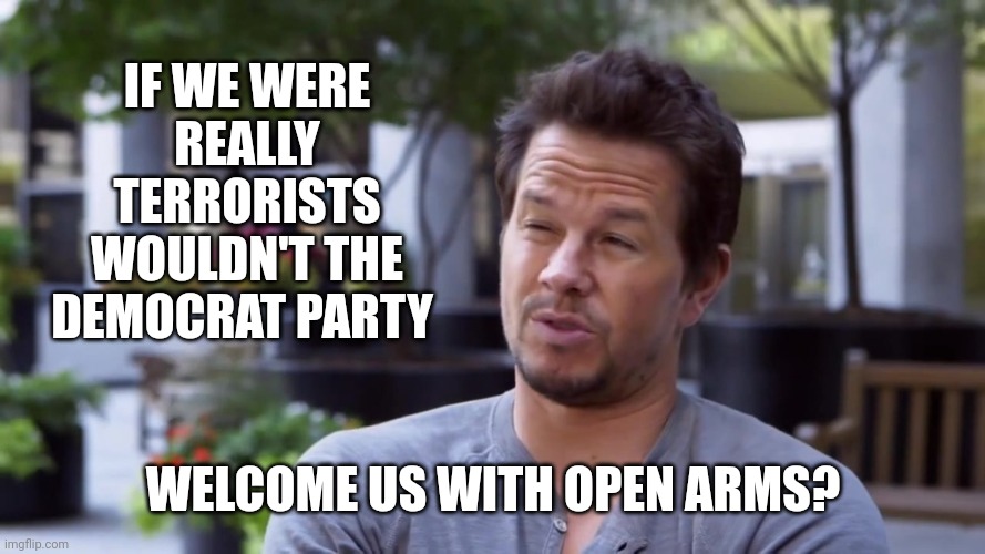 They do like their terrorists. | IF WE WERE REALLY TERRORISTS WOULDN'T THE DEMOCRAT PARTY; WELCOME US WITH OPEN ARMS? | image tagged in curious wahlberg | made w/ Imgflip meme maker