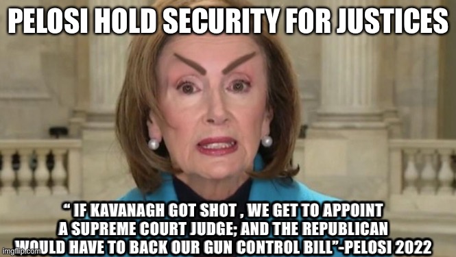 Queen Pelosi | PELOSI HOLD SECURITY FOR JUSTICES; “ IF KAVANAGH GOT SHOT , WE GET TO APPOINT A SUPREME COURT JUDGE; AND THE REPUBLICAN WOULD HAVE TO BACK OUR GUN CONTROL BILL”-PELOSI 2022 | image tagged in one eyebrow to rule,memes,meme,happy,funny,pelosi | made w/ Imgflip meme maker