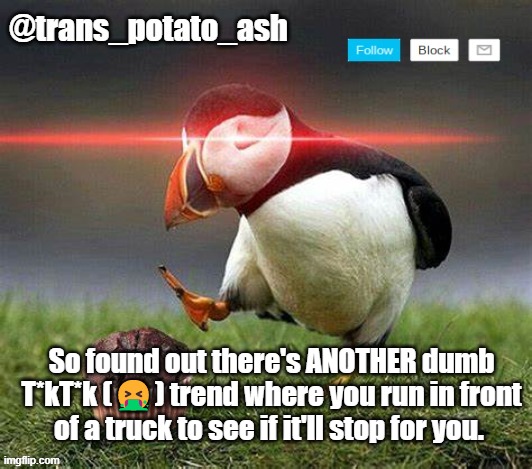 So found out there's ANOTHER dumb T*kT*k (🤮) trend where you run in front of a truck to see if it'll stop for you. | image tagged in your local ash | made w/ Imgflip meme maker