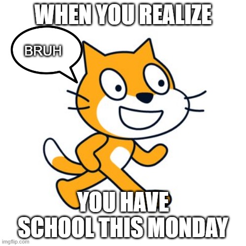 when you realize you have school this monday | WHEN YOU REALIZE; BRUH; YOU HAVE SCHOOL THIS MONDAY | image tagged in scratch cat | made w/ Imgflip meme maker