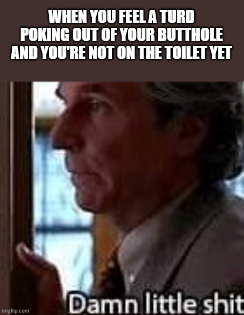 Turd Poking Out Of Your Butthole |  WHEN YOU FEEL A TURD POKING OUT OF YOUR BUTTHOLE AND YOU'RE NOT ON THE TOILET YET | image tagged in turd,poop,butthole,scream,funny,memes | made w/ Imgflip meme maker