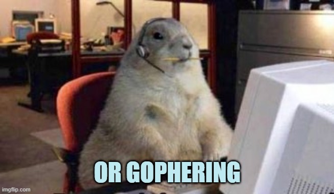 Gopher | OR GOPHERING | image tagged in gopher | made w/ Imgflip meme maker