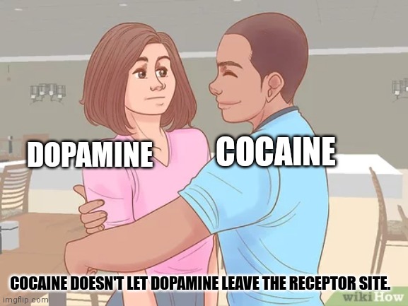 COCAINE; DOPAMINE; COCAINE DOESN'T LET DOPAMINE LEAVE THE RECEPTOR SITE. | made w/ Imgflip meme maker