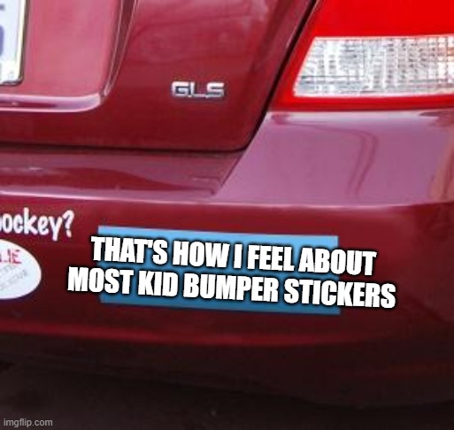 Bumper Sticker | THAT'S HOW I FEEL ABOUT MOST KID BUMPER STICKERS | image tagged in bumper sticker | made w/ Imgflip meme maker
