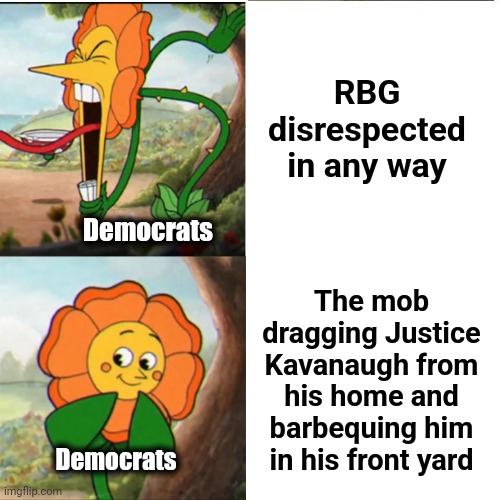 Proof that democrats are hateful savages | RBG disrespected in any way; Democrats; The mob dragging Justice Kavanaugh from his home and barbequing him in his front yard; Democrats | image tagged in cuphead flower,memes,supreme court,justices,brett kavanaugh,violence | made w/ Imgflip meme maker