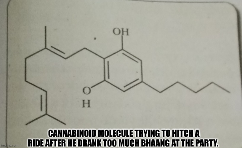 CANNABINOID MOLECULE TRYING TO HITCH A RIDE AFTER HE DRANK TOO MUCH BHAANG AT THE PARTY. | made w/ Imgflip meme maker