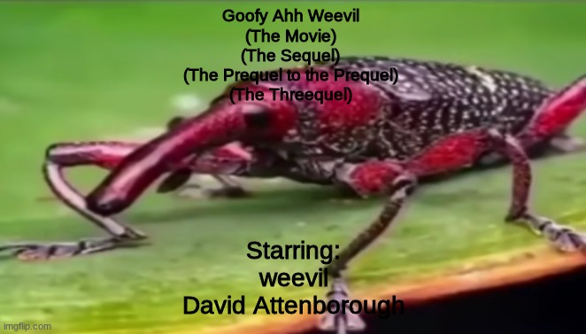 Now with +5 more hours of nothing but weevil information! | Goofy Ahh Weevil
(The Movie)
(The Sequel)
(The Prequel to the Prequel)
(The Threequel); Starring:
weevil
David Attenborough | made w/ Imgflip meme maker