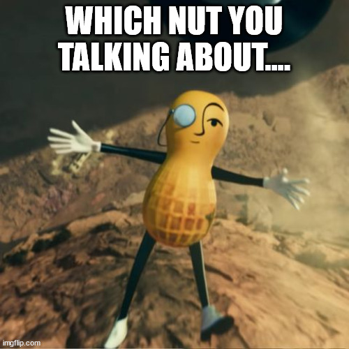 Mr Peanut's death | WHICH NUT YOU TALKING ABOUT.... | image tagged in mr peanut's death | made w/ Imgflip meme maker