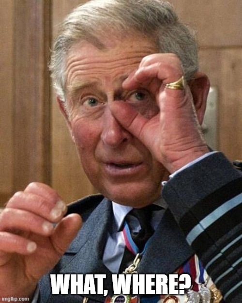 prince charles | WHAT, WHERE? | image tagged in prince charles | made w/ Imgflip meme maker
