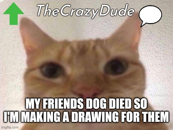 Tcd temp | MY FRIENDS DOG DIED SO I'M MAKING A DRAWING FOR THEM | image tagged in tcd temp,rip,dog | made w/ Imgflip meme maker