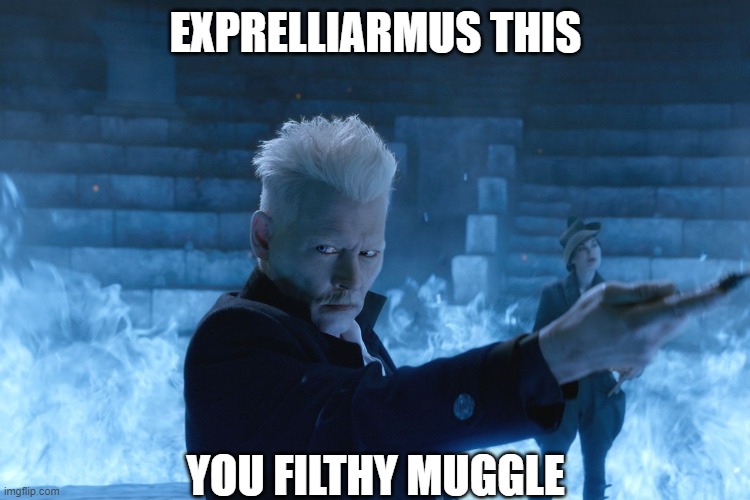 expelliarmus this | EXPRELLIARMUS THIS; YOU FILTHY MUGGLE | image tagged in parry this,expelliarmus this | made w/ Imgflip meme maker