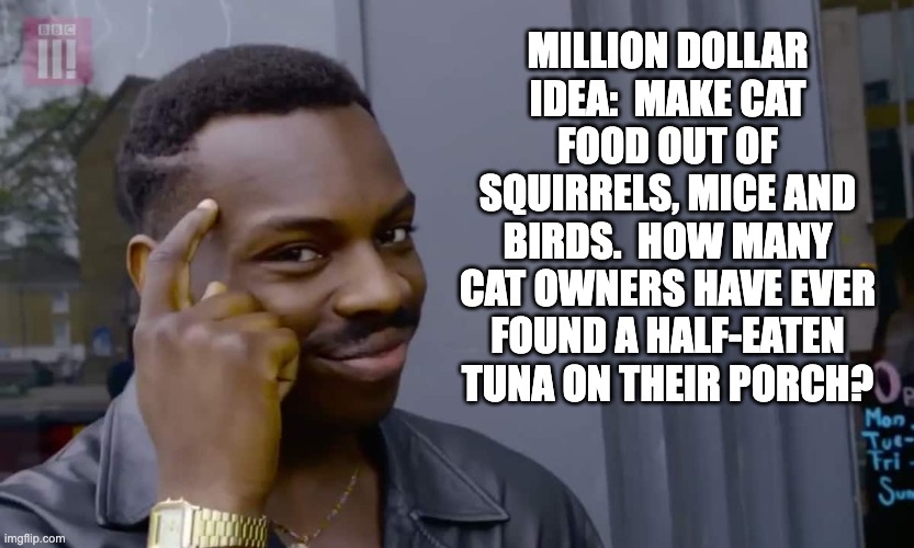 cat food | MILLION DOLLAR IDEA:  MAKE CAT FOOD OUT OF SQUIRRELS, MICE AND BIRDS.  HOW MANY CAT OWNERS HAVE EVER FOUND A HALF-EATEN TUNA ON THEIR PORCH? | image tagged in eddie murphy thinking | made w/ Imgflip meme maker