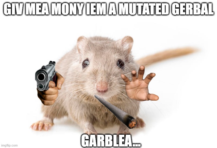 gerbal | GIV MEA MONY IEM A MUTATED GERBAL; GARBLEA... | image tagged in fun,gerbal,funny | made w/ Imgflip meme maker