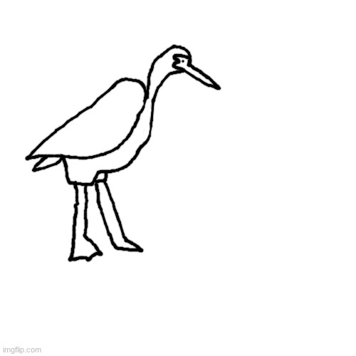 i drew the funny bird | made w/ Imgflip meme maker