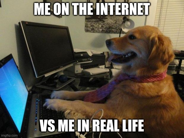 On the internet nobody knows you are a dog | ME ON THE INTERNET; VS ME IN REAL LIFE | image tagged in on the internet nobody knows you are a dog | made w/ Imgflip meme maker