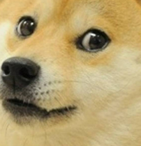 High Quality DOGE face Blank Meme Template