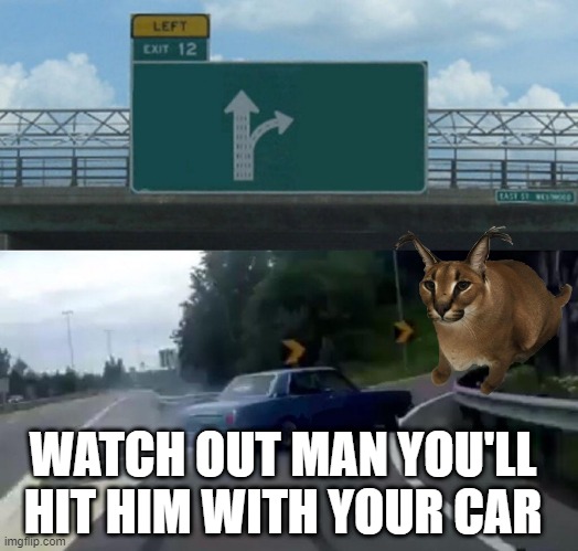 hugop | WATCH OUT MAN YOU'LL HIT HIM WITH YOUR CAR | image tagged in memes,left exit 12 off ramp,funny,funny memes,floppa,funny meme | made w/ Imgflip meme maker