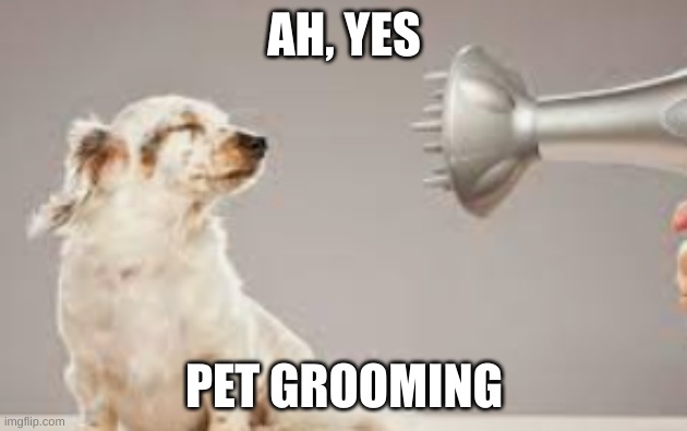 grooming | AH, YES PET GROOMING | image tagged in grooming | made w/ Imgflip meme maker