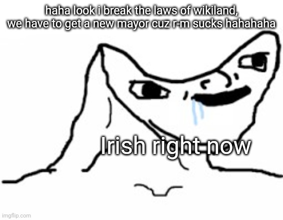 :< | haha look i break the laws of wikiland, we have to get a new mayor cuz r-m sucks hahahaha; Irish right now | image tagged in drooling brainless idiot | made w/ Imgflip meme maker