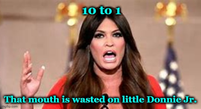What A Waste | 10 to 1; That mouth is wasted on little Donnie Jr. | image tagged in donald trump jr,kimberly guilfoyle,big mouth | made w/ Imgflip meme maker