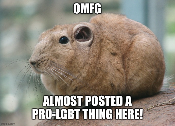 AAAHHHHH | OMFG; ALMOST POSTED A PRO-LGBT THING HERE! | made w/ Imgflip meme maker
