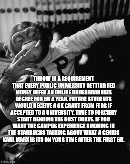 Zip the Smoking Chimp | THROW IN A REQUIREMENT THAT EVERY PUBLIC UNIVERSITY GETTING FED MONEY OFFER AN ONLINE UNDERGRADUATE DEGREE FOR 6K A YEAR. FUTURE STUDENTS WO | image tagged in zip the smoking chimp | made w/ Imgflip meme maker