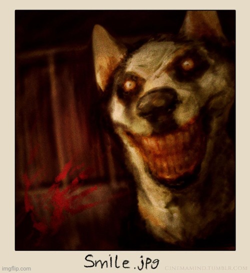 Smile Dog | image tagged in smile dog | made w/ Imgflip meme maker